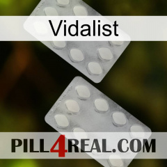 Vidalist 17